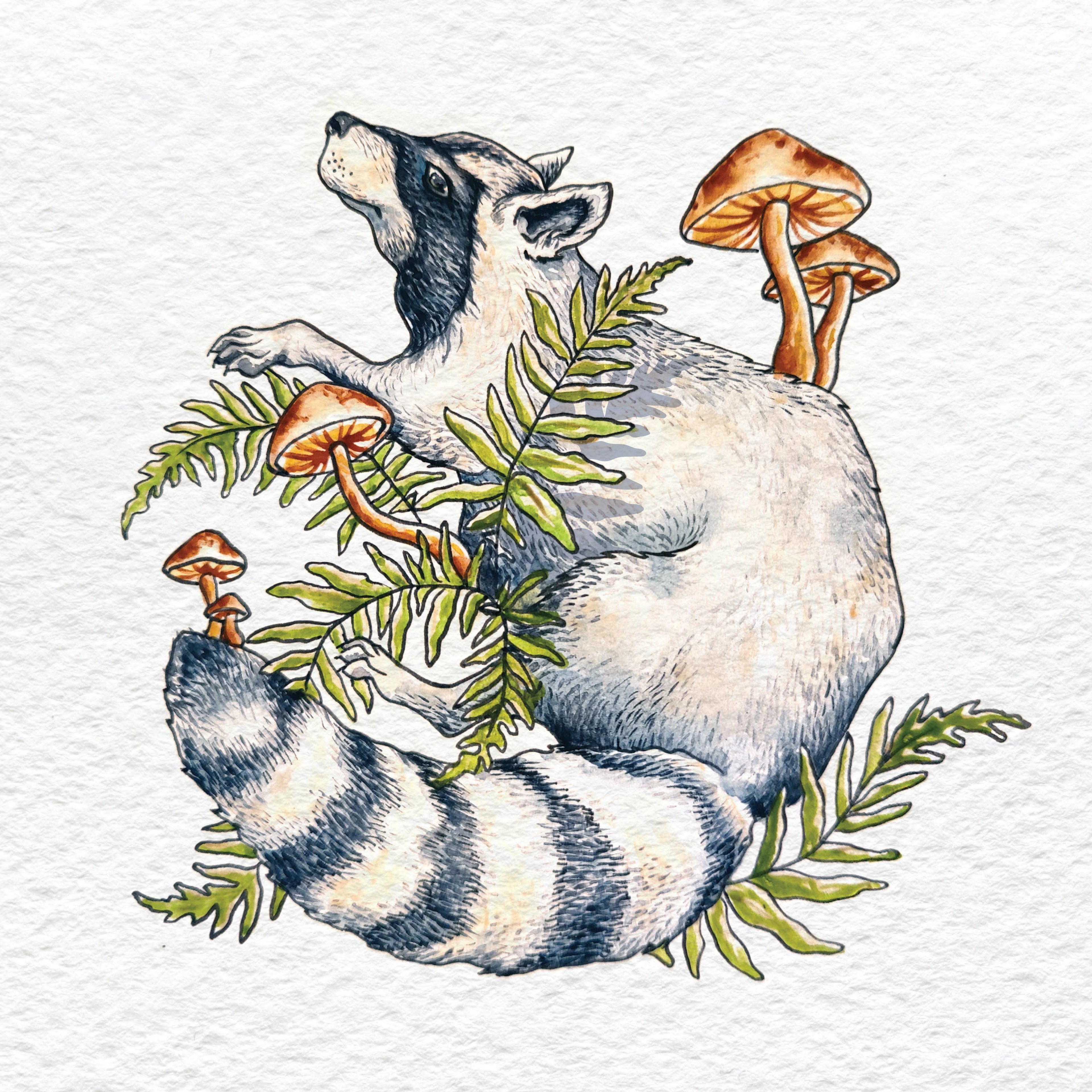 Raccoon Forager - Vinyl Sticker Art - Mushroom Forest PNW
