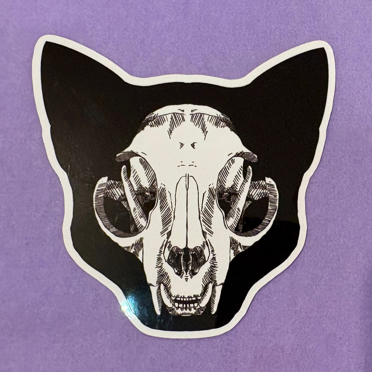 Cat Skull 2.0