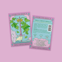 Triple Curled Parsley Tarot Garden + Gift Seed Packet