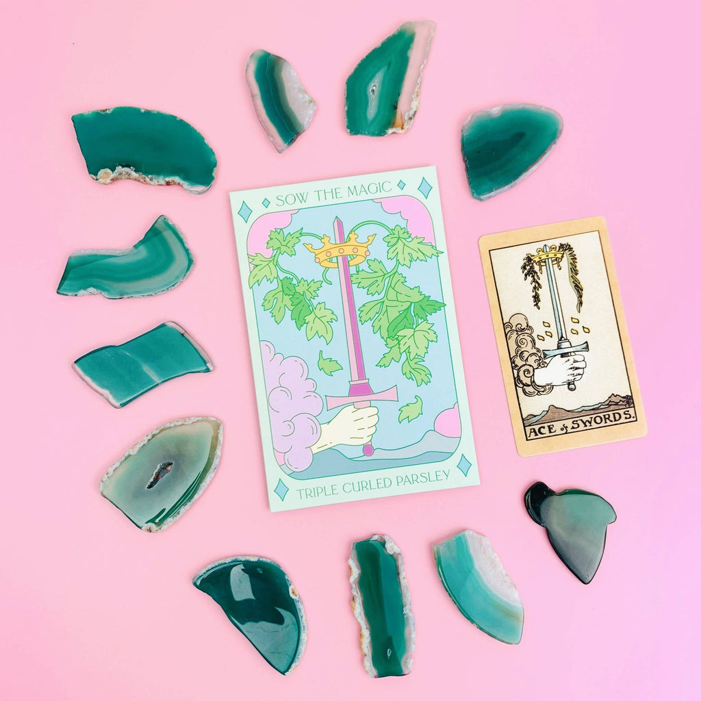 Triple Curled Parsley Tarot Garden + Gift Seed Packet