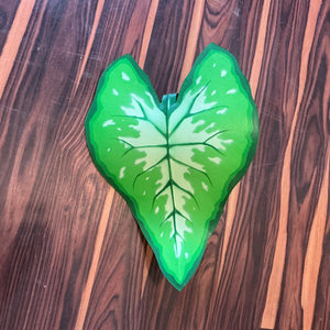 Caladium Leaf