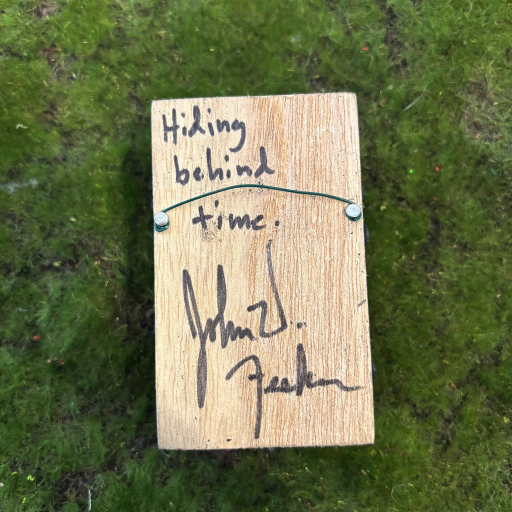 Hiding behind time Shadow Box