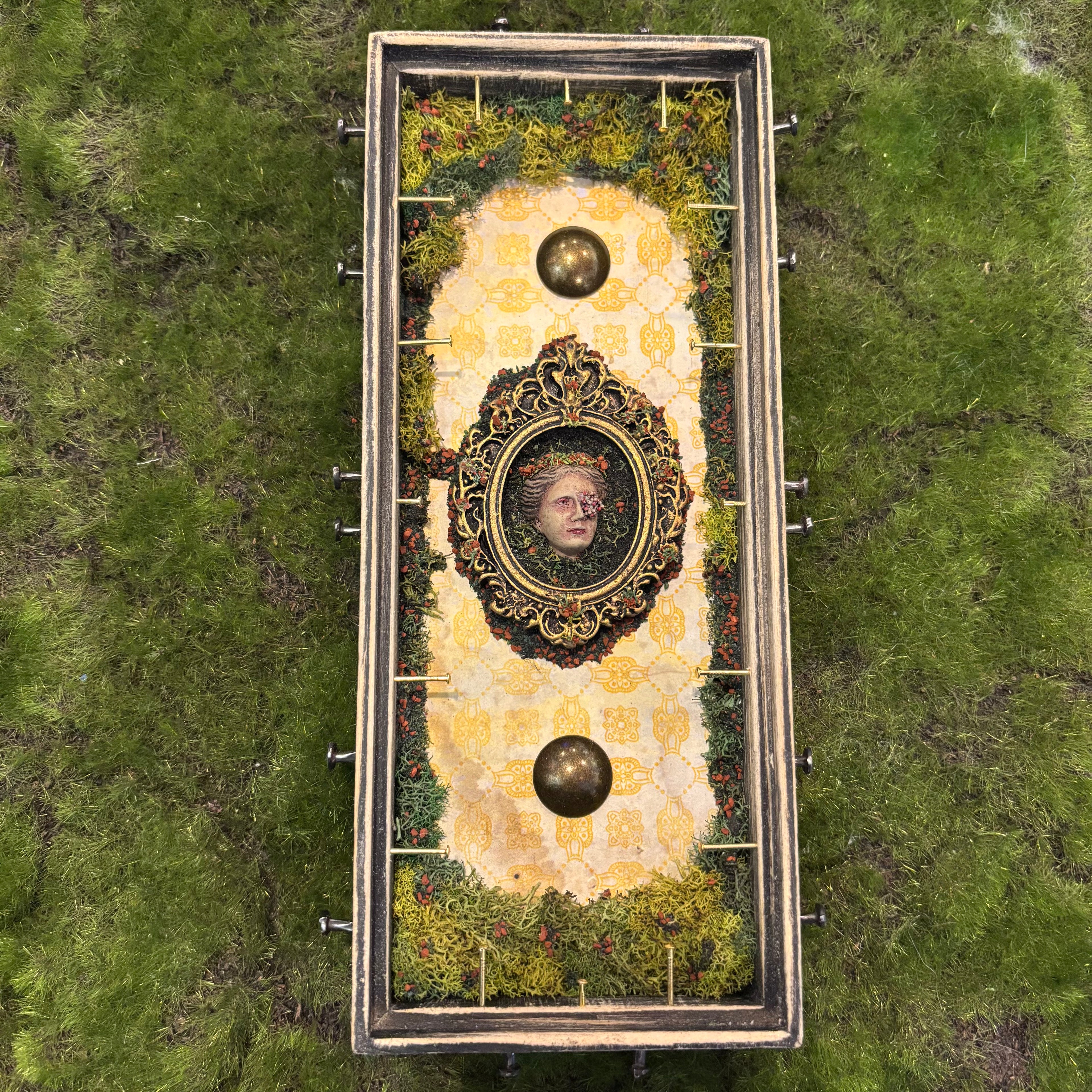 Visitor Shadow Box