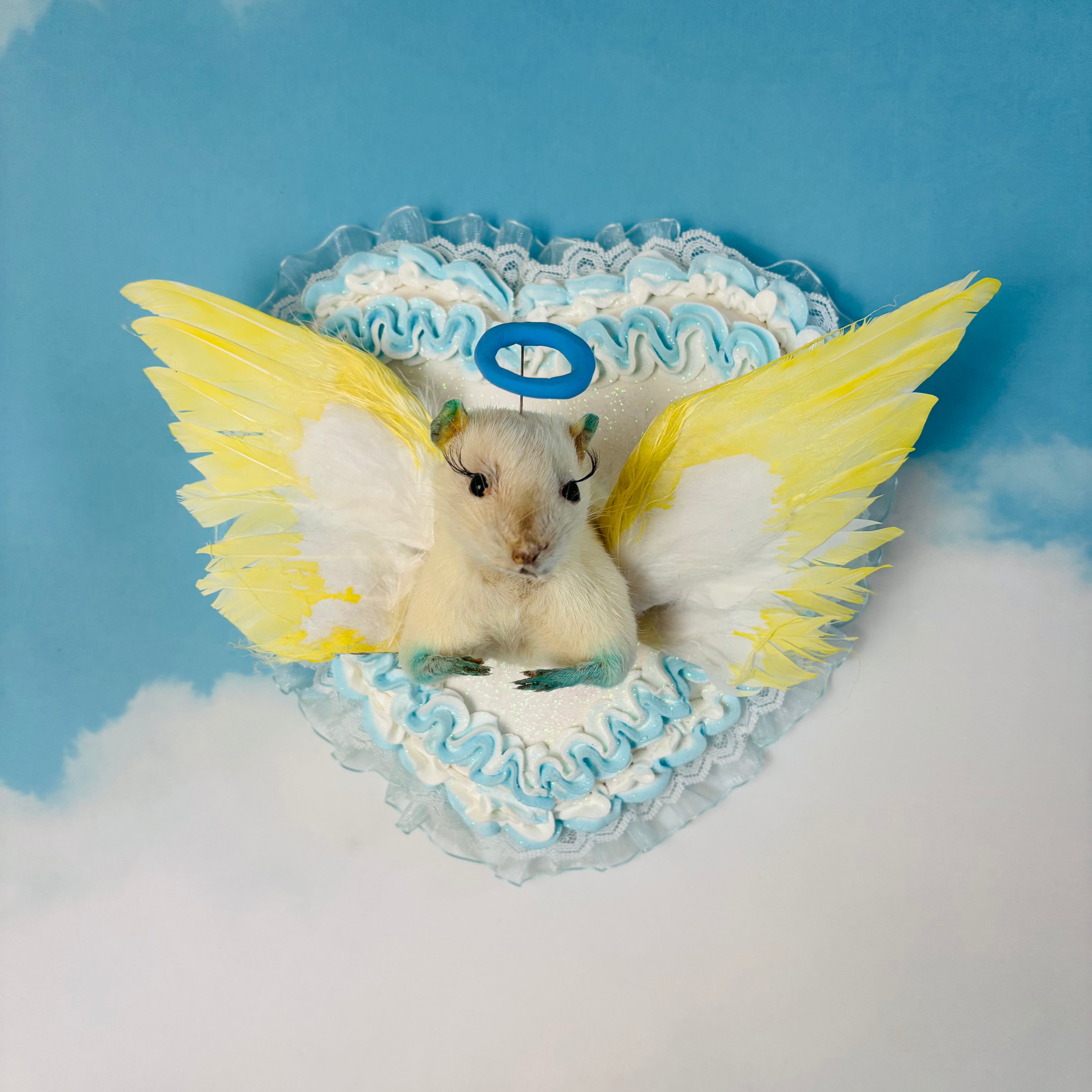 Angel Chao Taxidermy