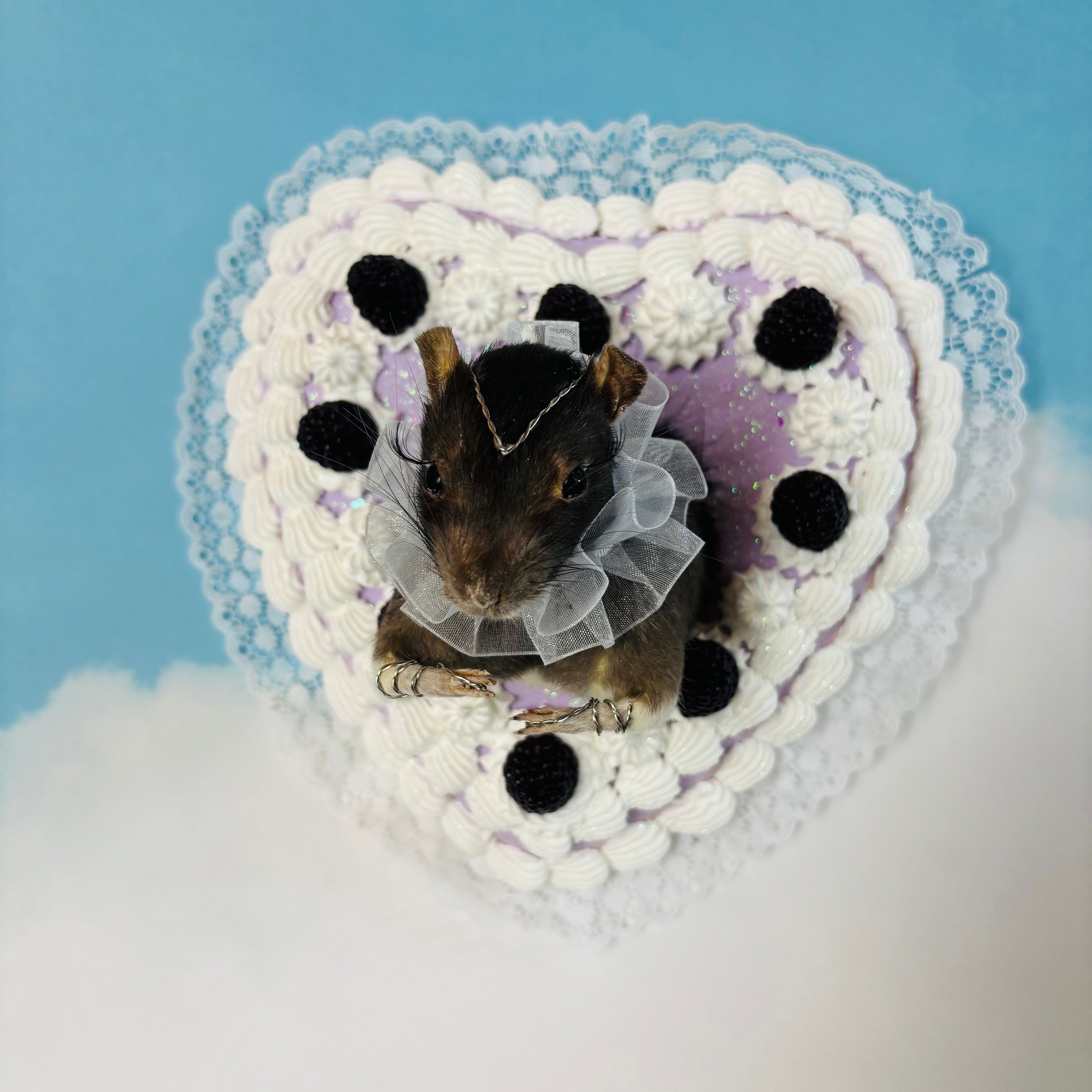 Blackberry Cake Rat Taxidermy