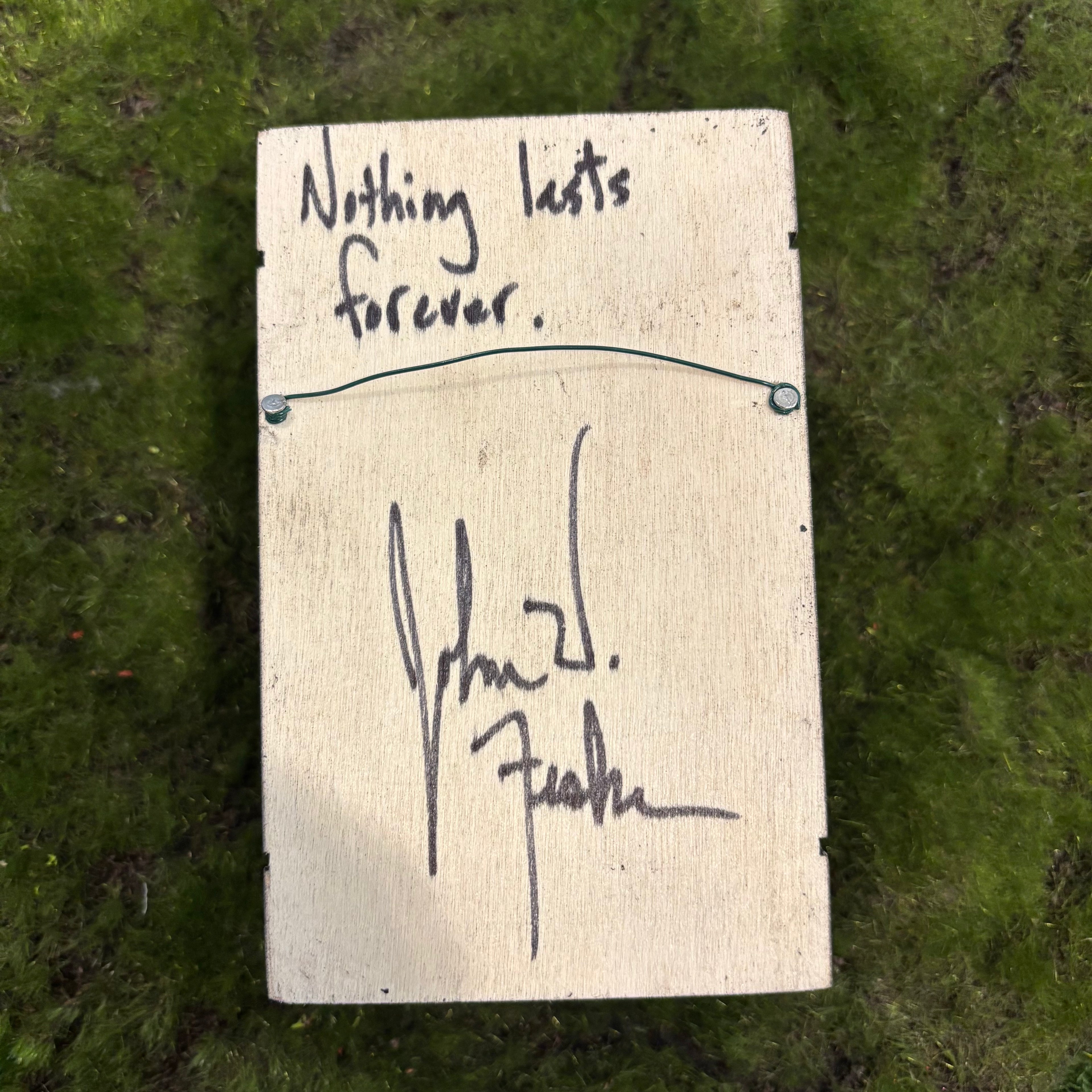 Nothing lasts forever Shadow Box
