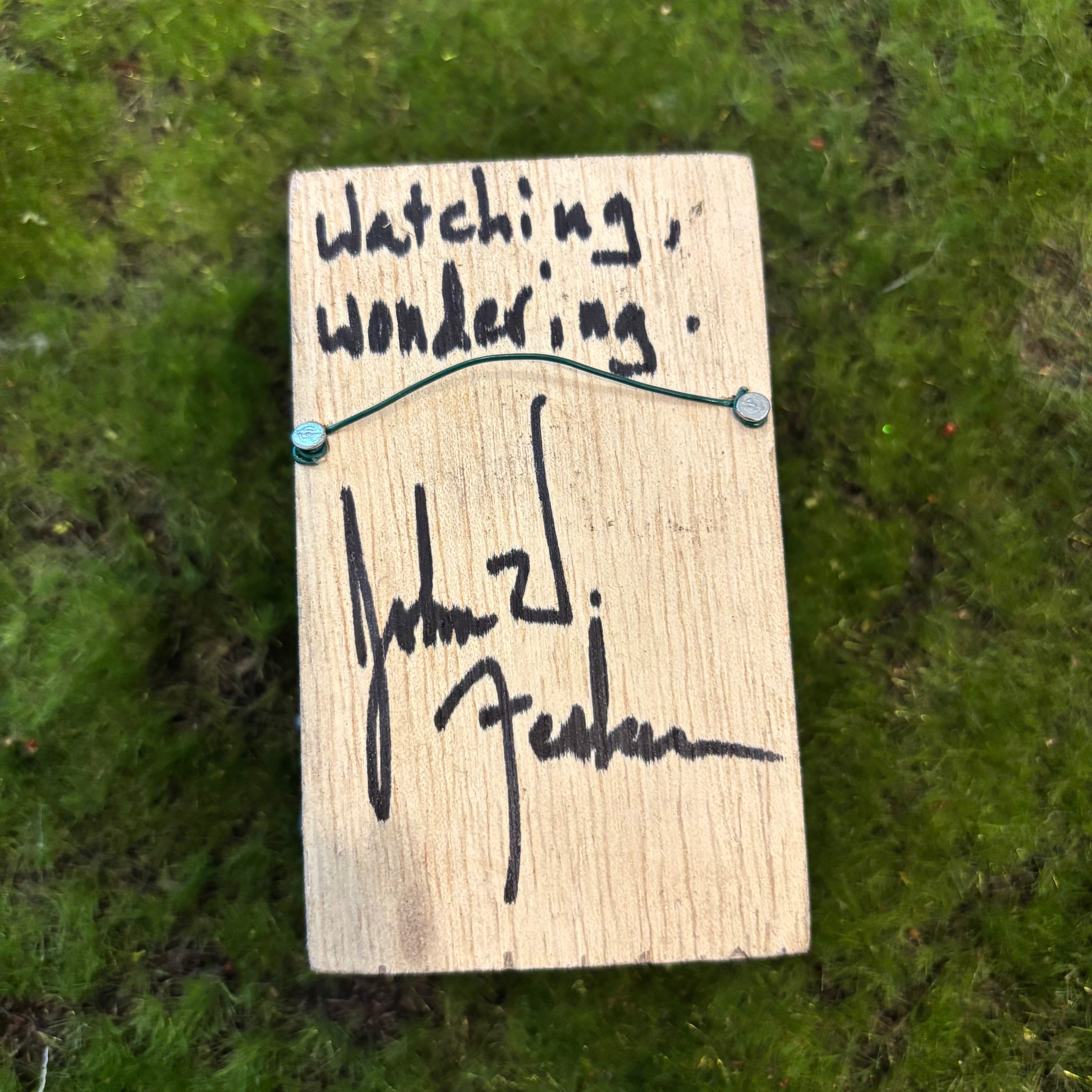 Watching, wondering. Shadow Box