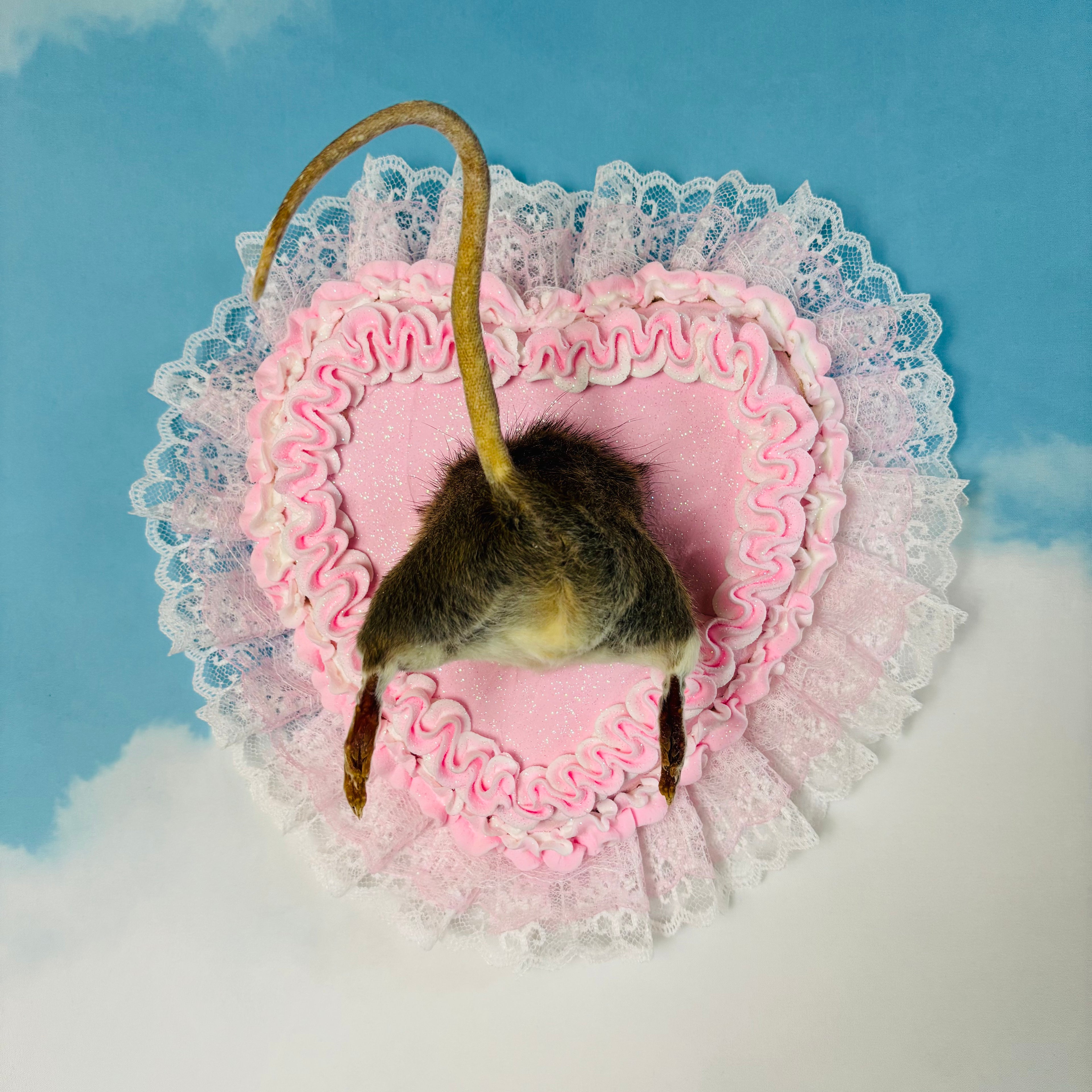 Pink Cake Rat Butt Taxidermy