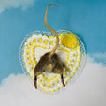 Lemon Cake Rat Butt Taxidermy