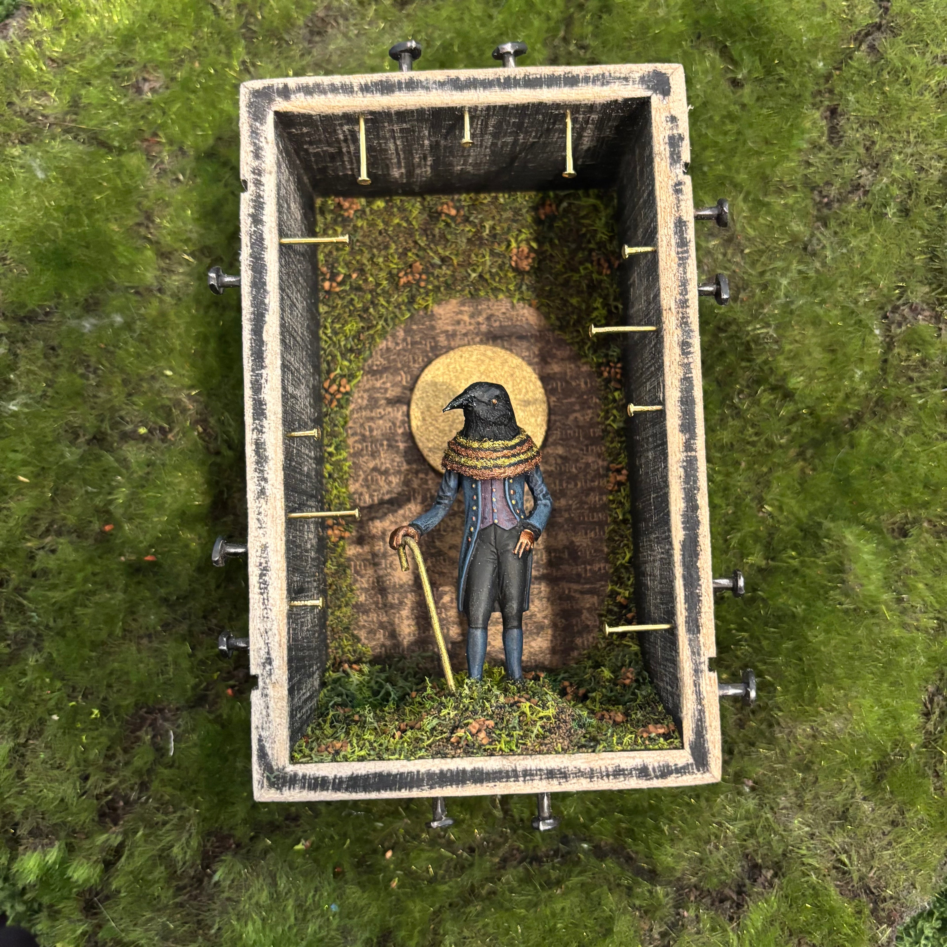Ask a crow Shadow Box