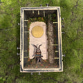 No reason to wait Shadow Box