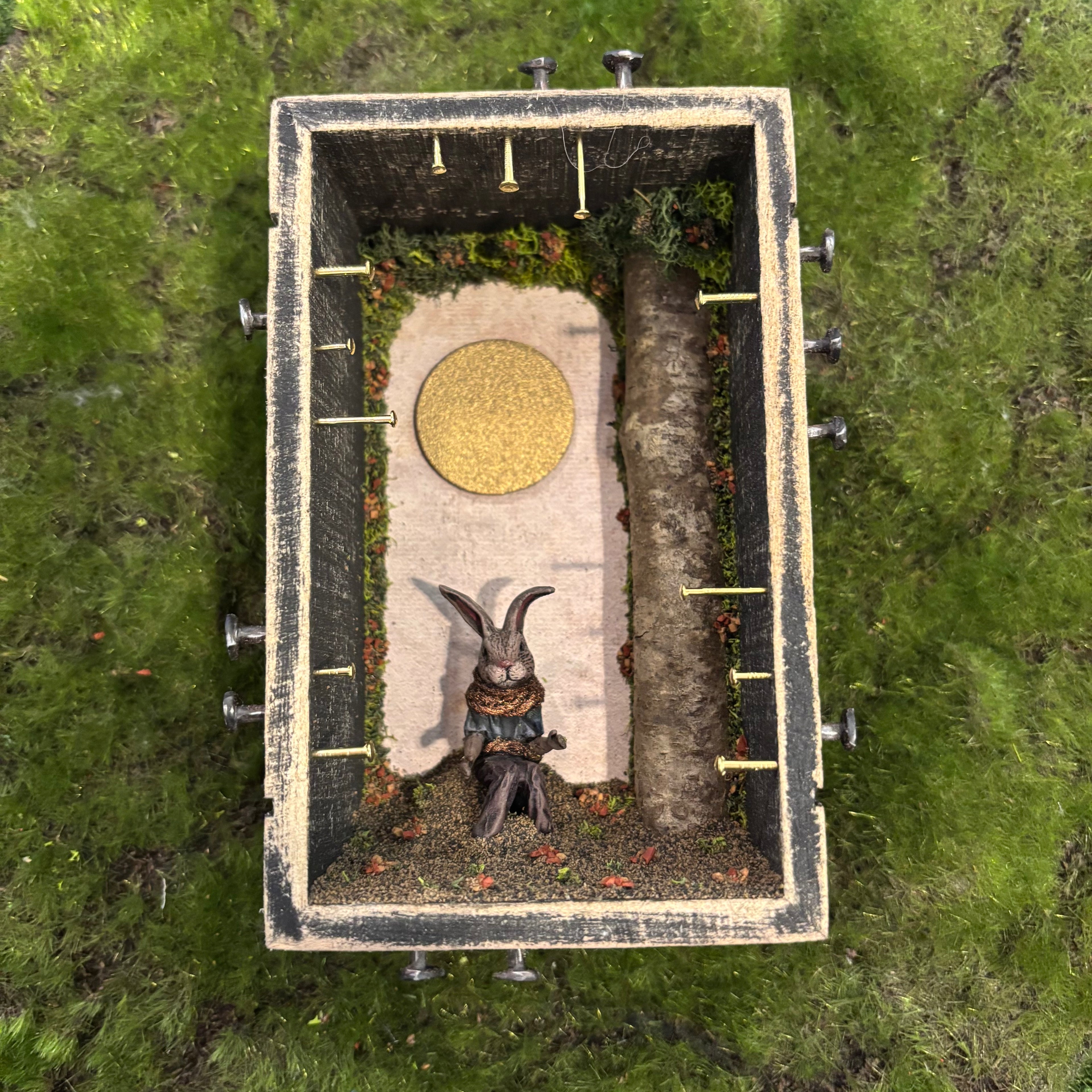 No reason to wait Shadow Box