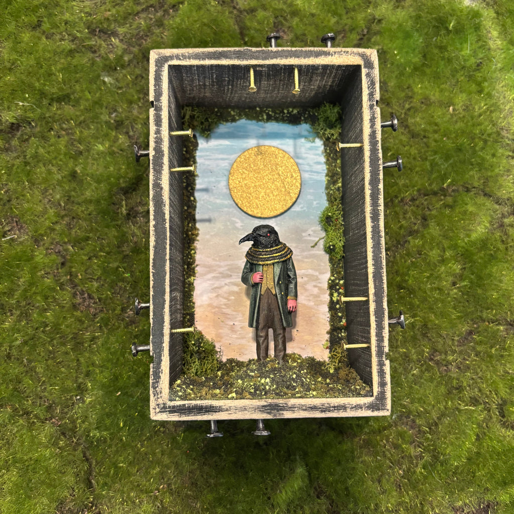 These days are always a wonder Shadow Box