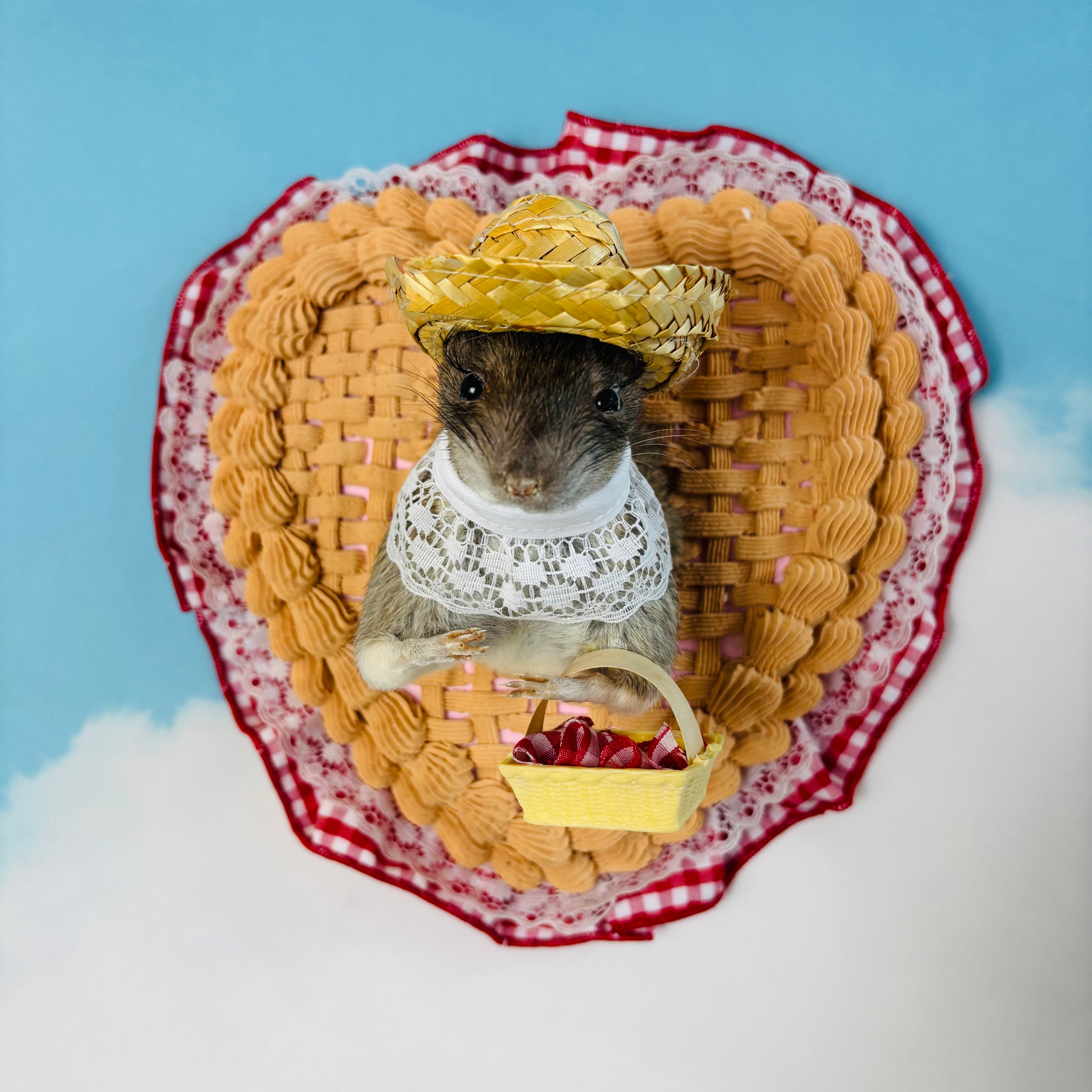 Strawberry Pie Rat Taxidermy