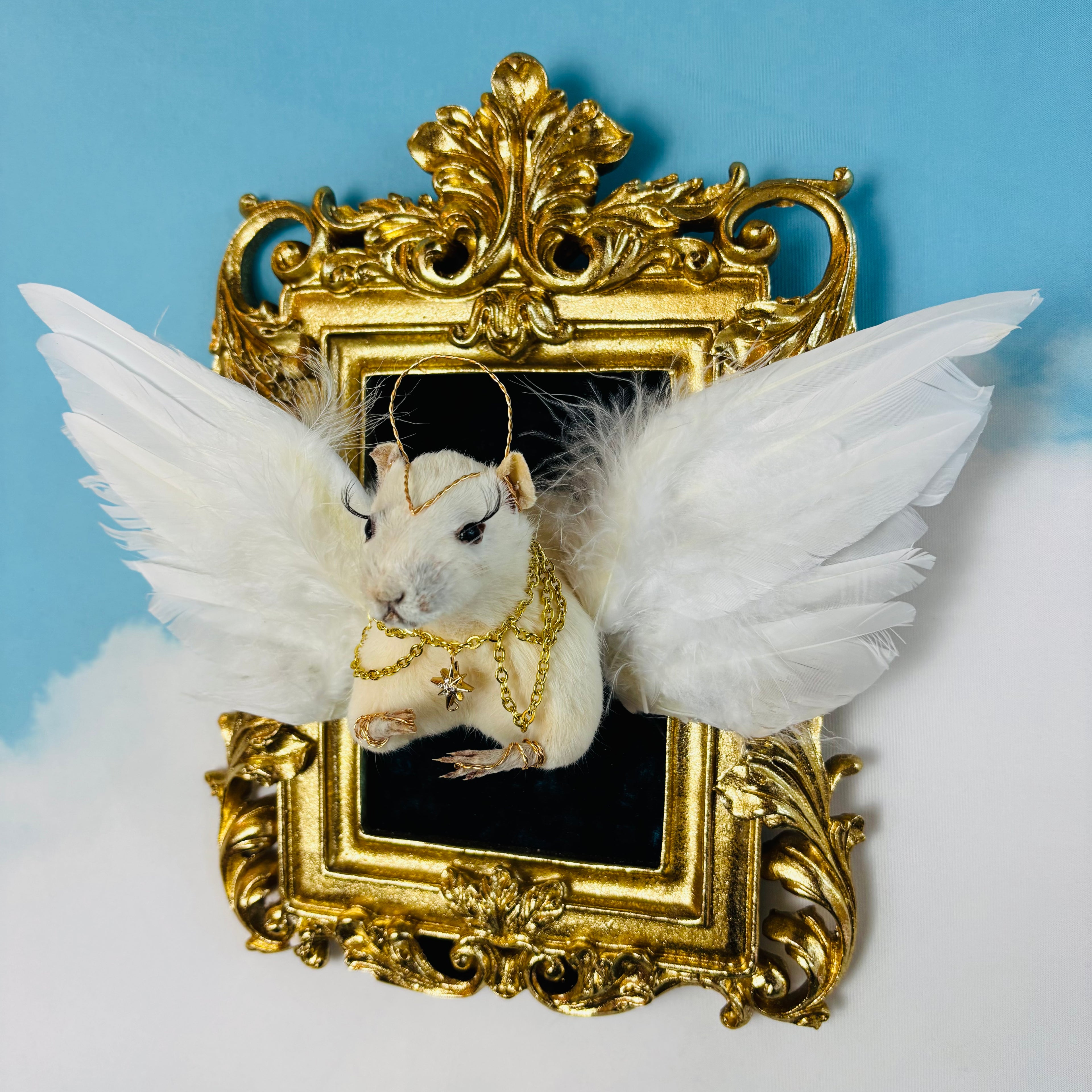 Angel Rat Taxidermy