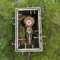 Hiding behind time Shadow Box