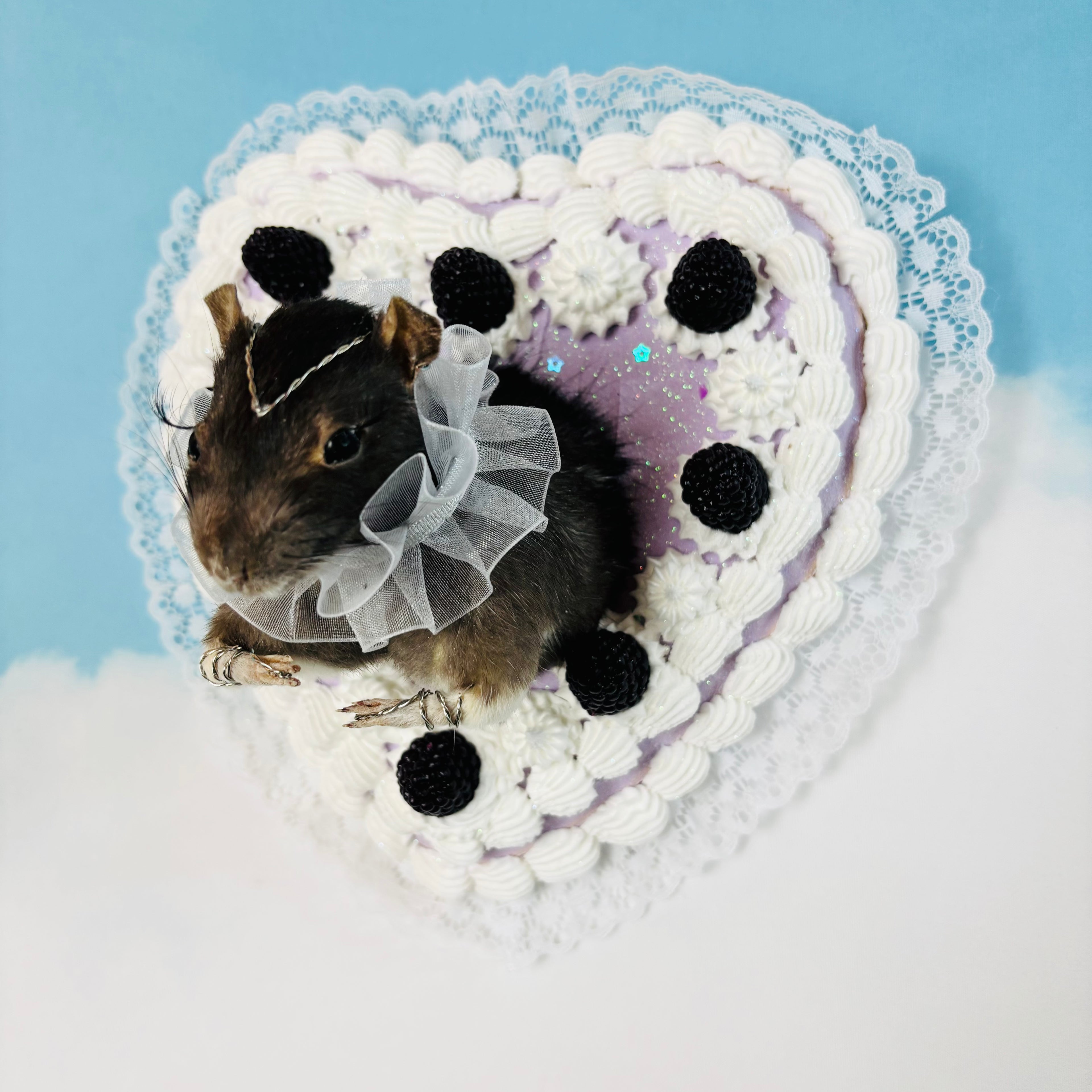 Blackberry Cake Rat Taxidermy