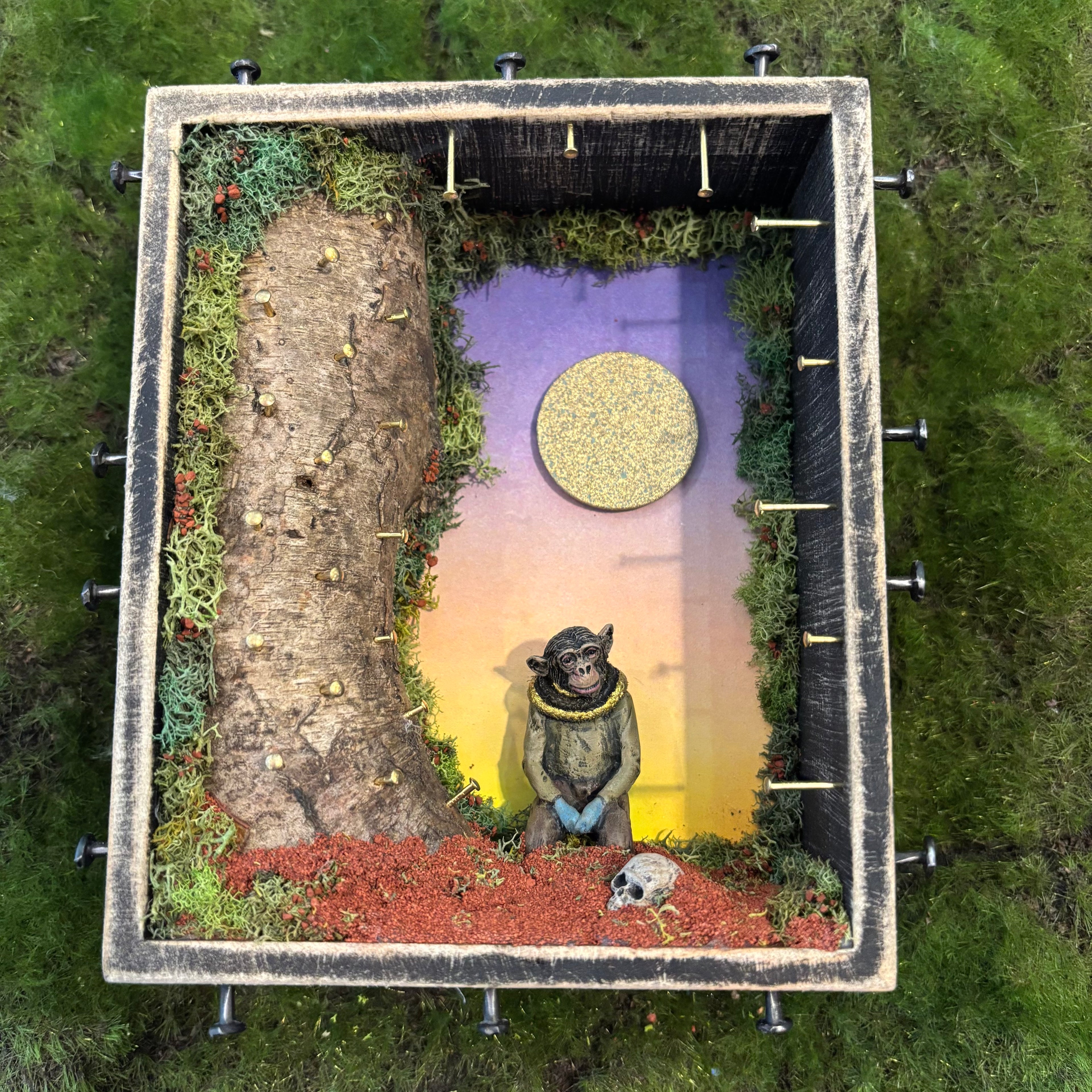 Distracted by the wind again Shadow Box