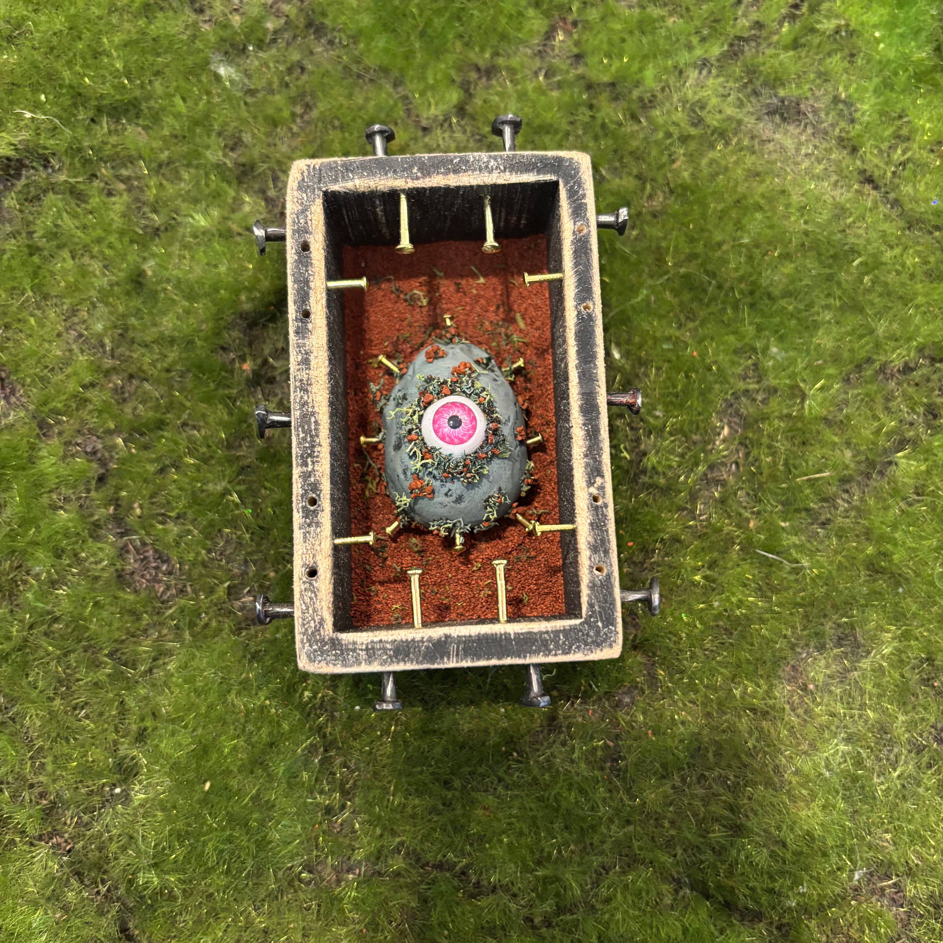 The inquisitive egg Shadow Box