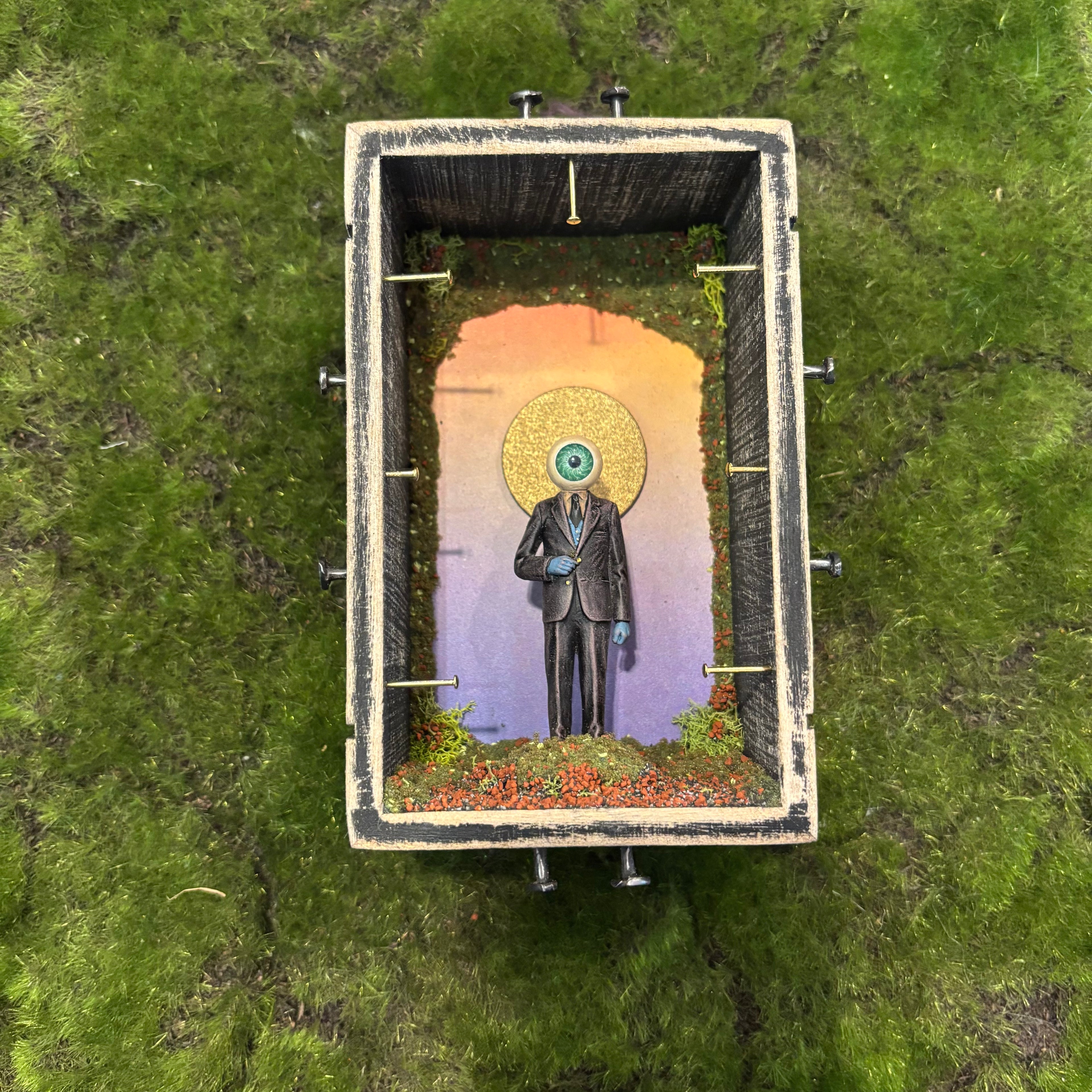 Quite the sight Shadow Box