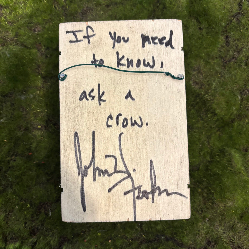 Ask a crow Shadow Box