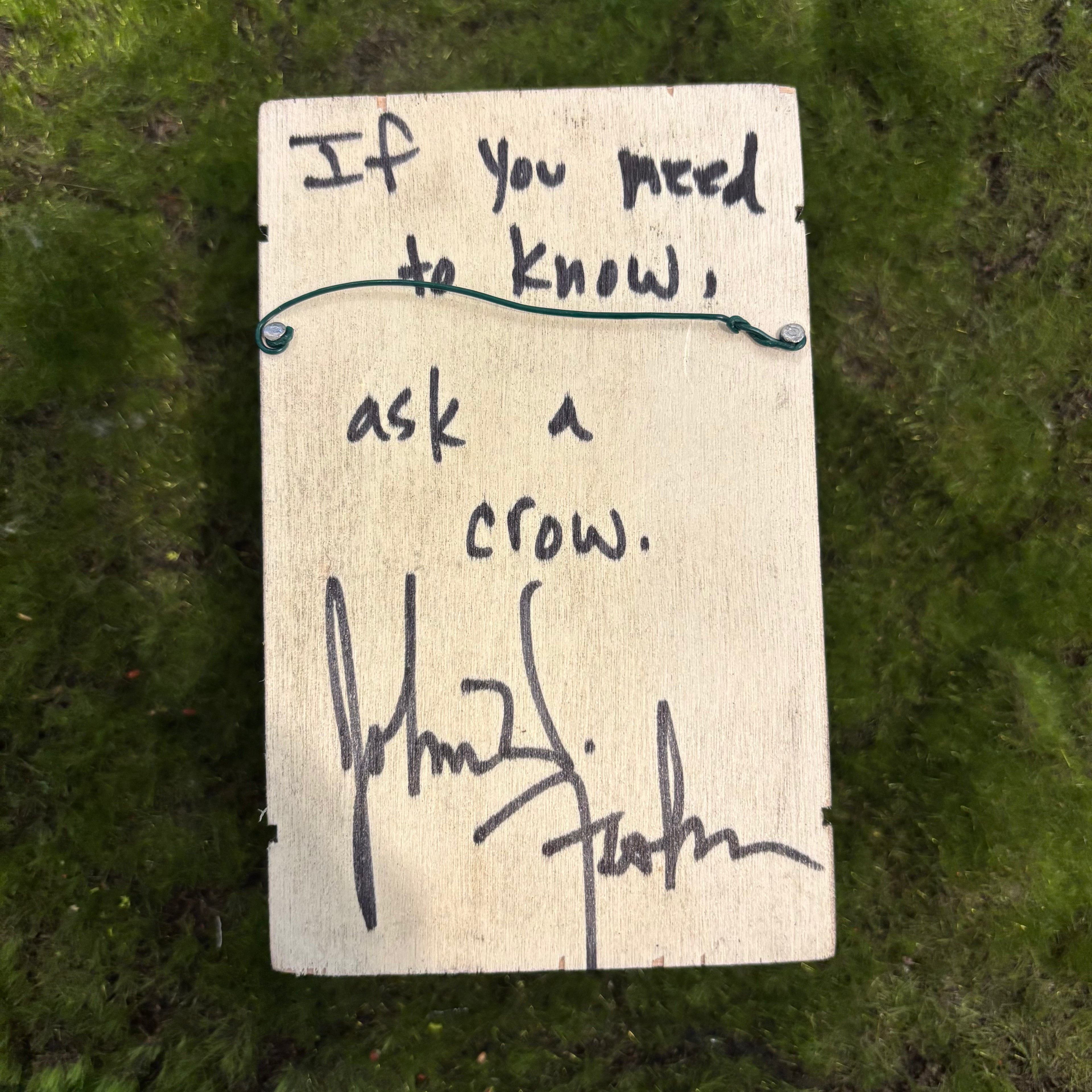 Ask a crow Shadow Box