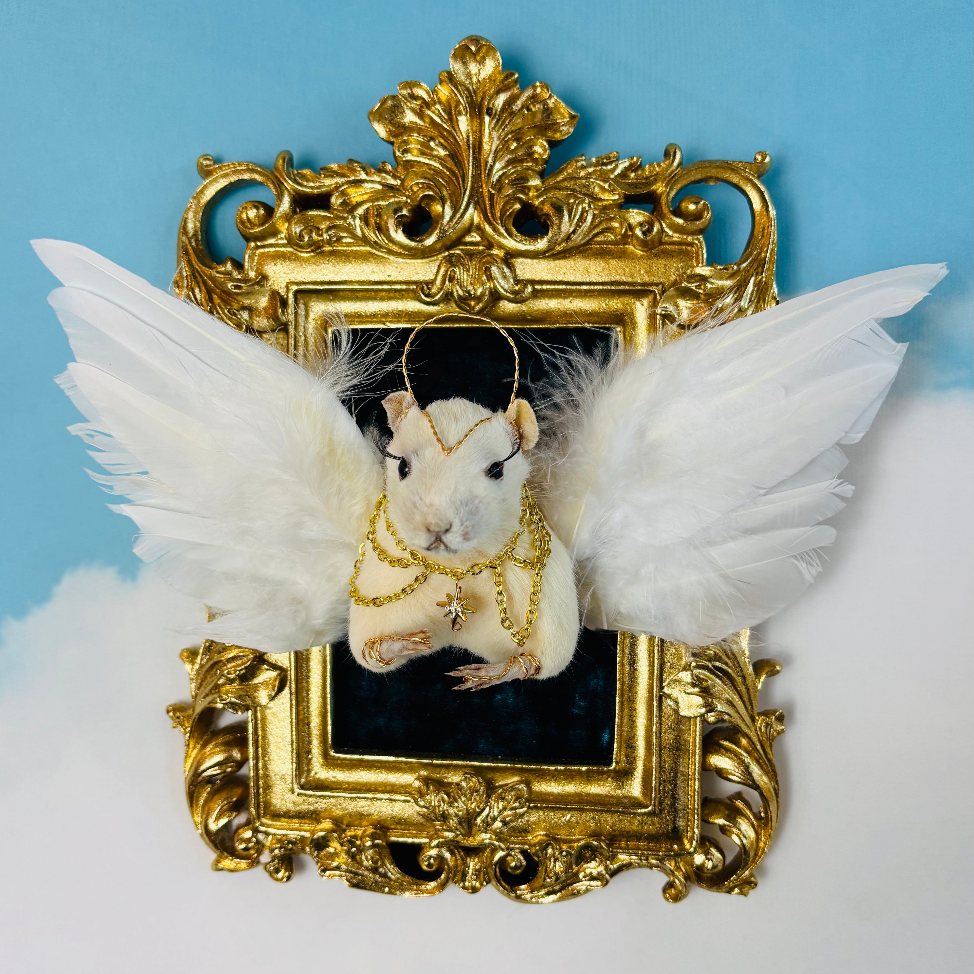 Angel Rat Taxidermy