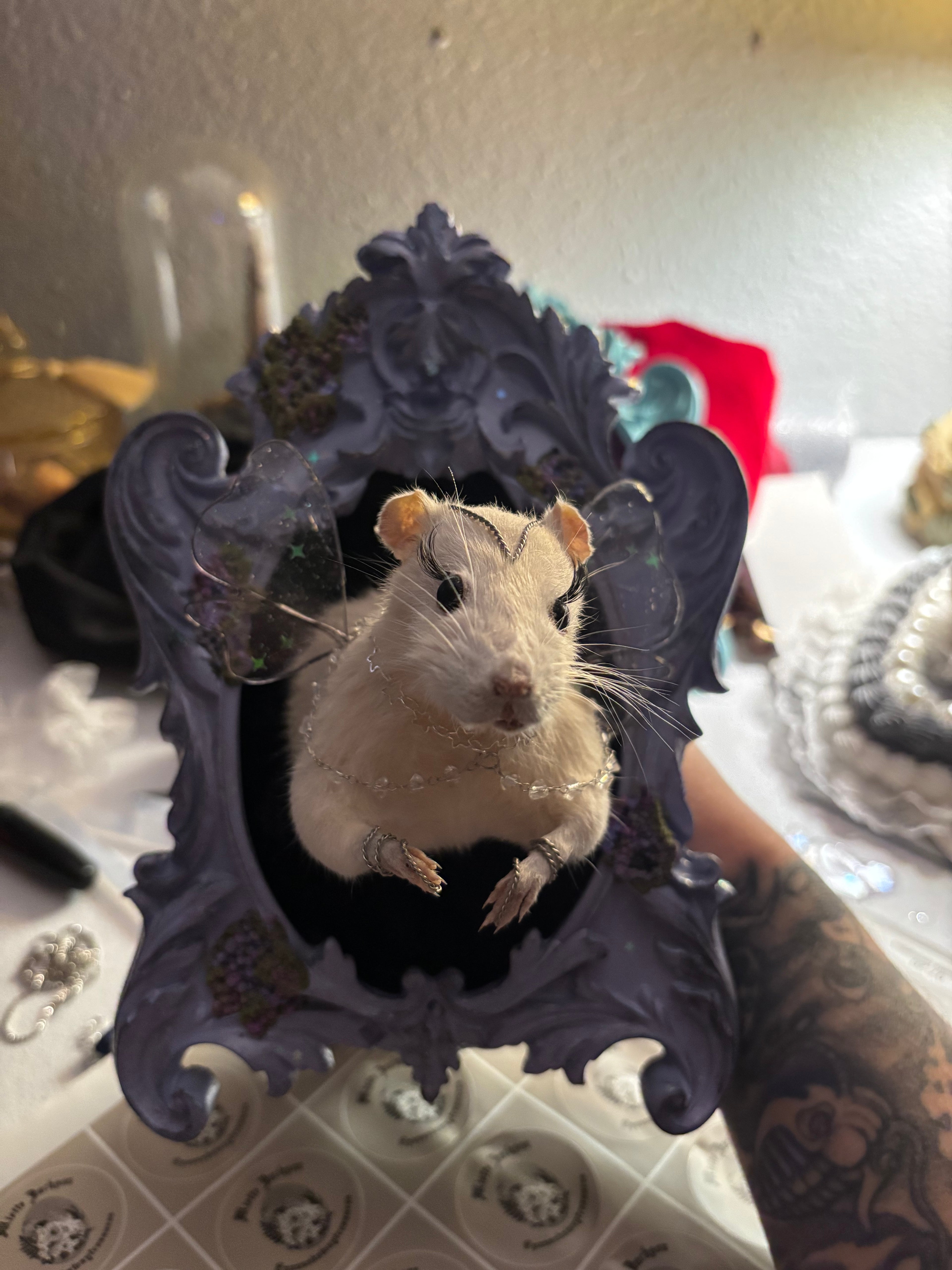 Fairy Rat Taxidermy