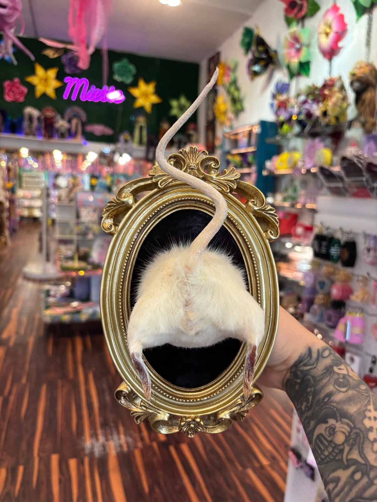 Taxidermy Rat Butt