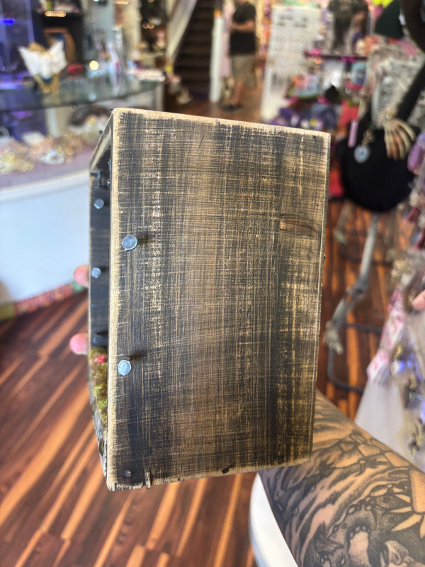 Centaur Shadow Box