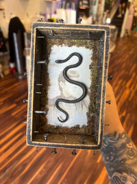 Snake Shadow Box