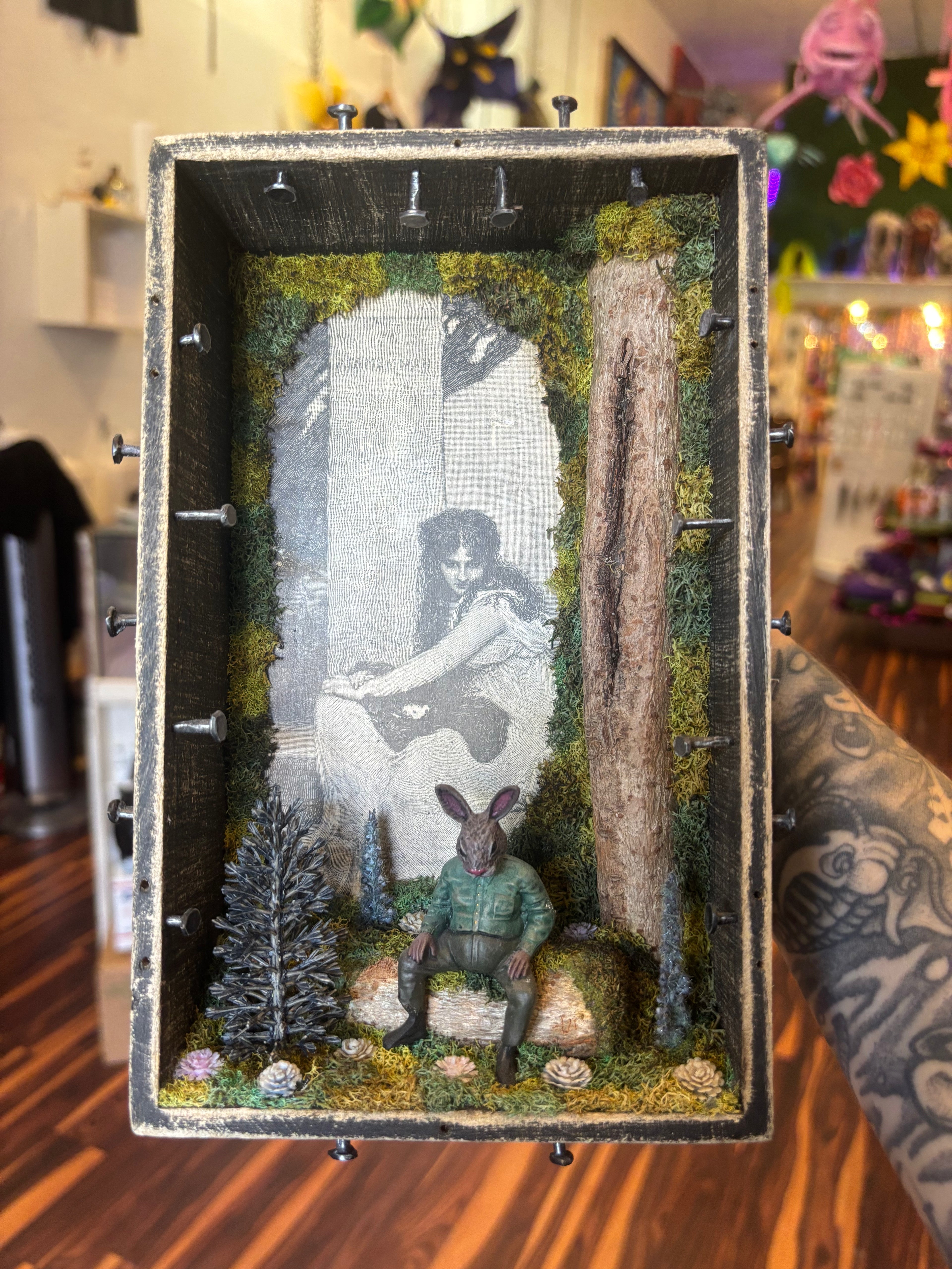 Pondering Rabbit Shadow Box