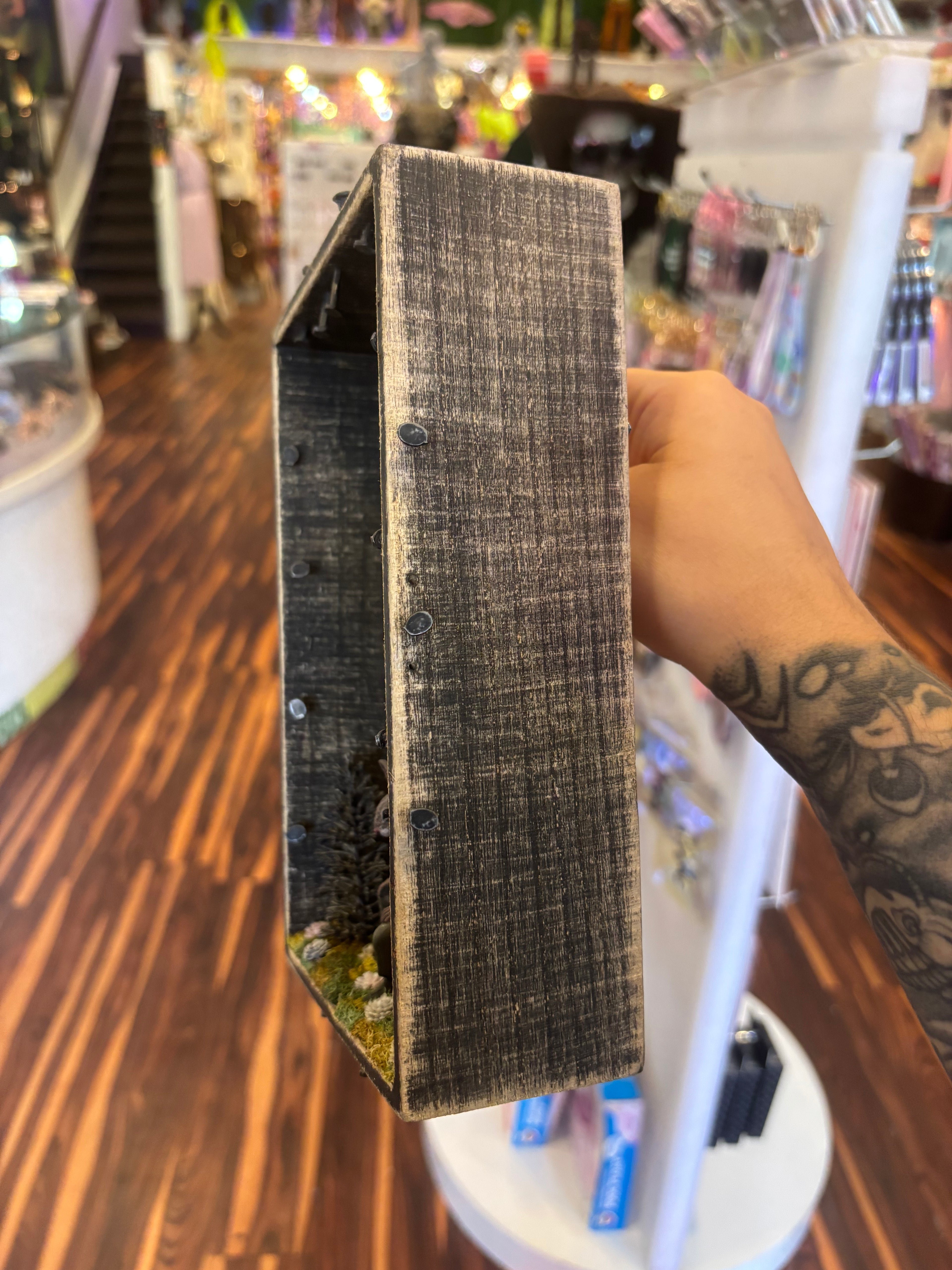 Pondering Rabbit Shadow Box