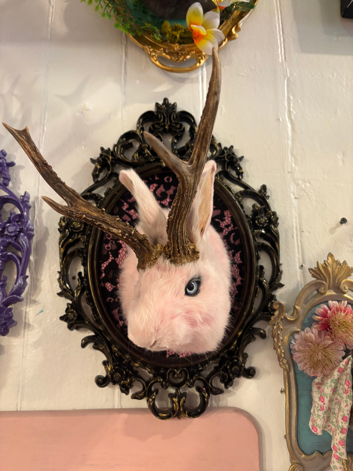 Pink Jackalope