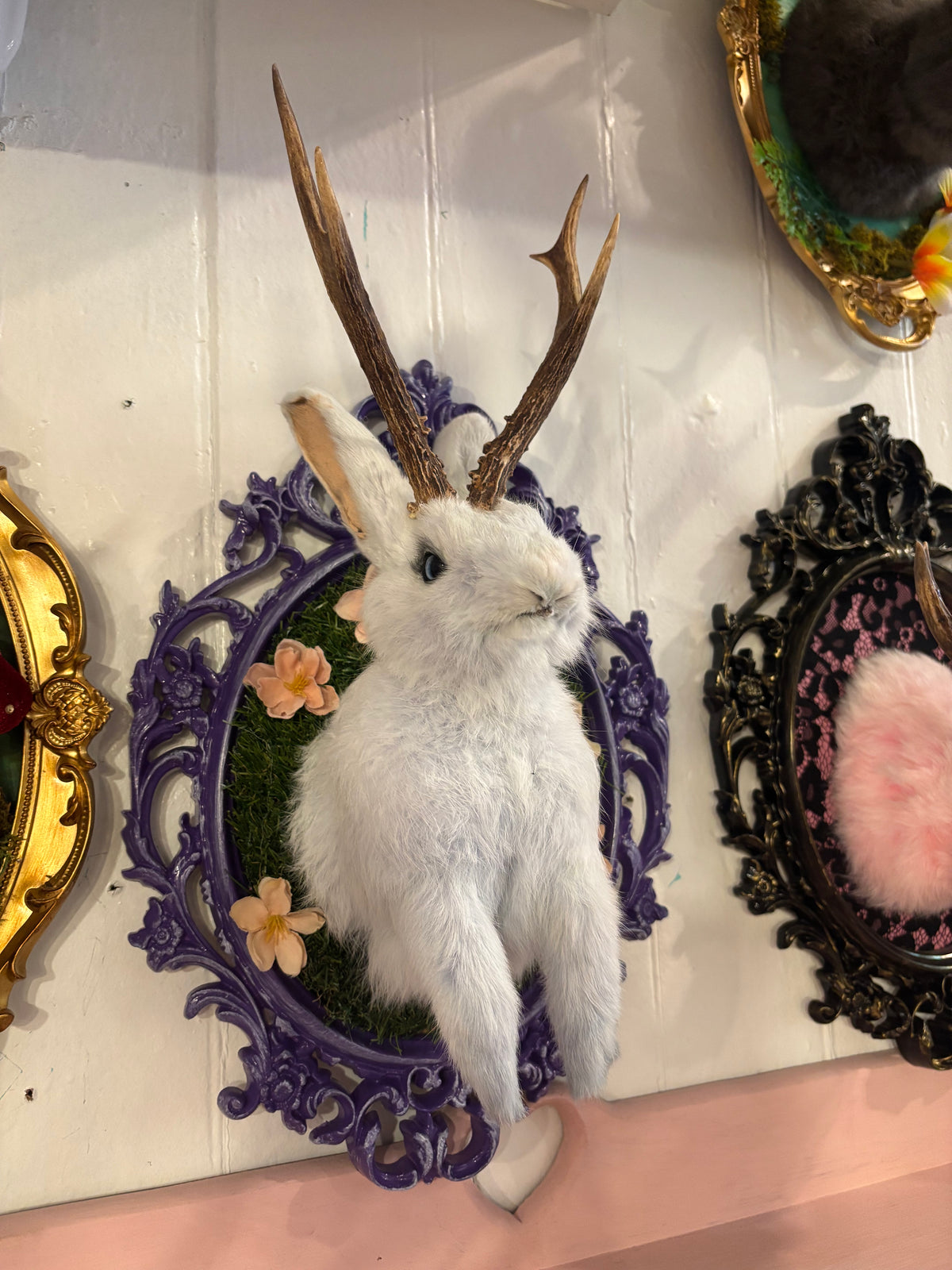 Purple Jackalope