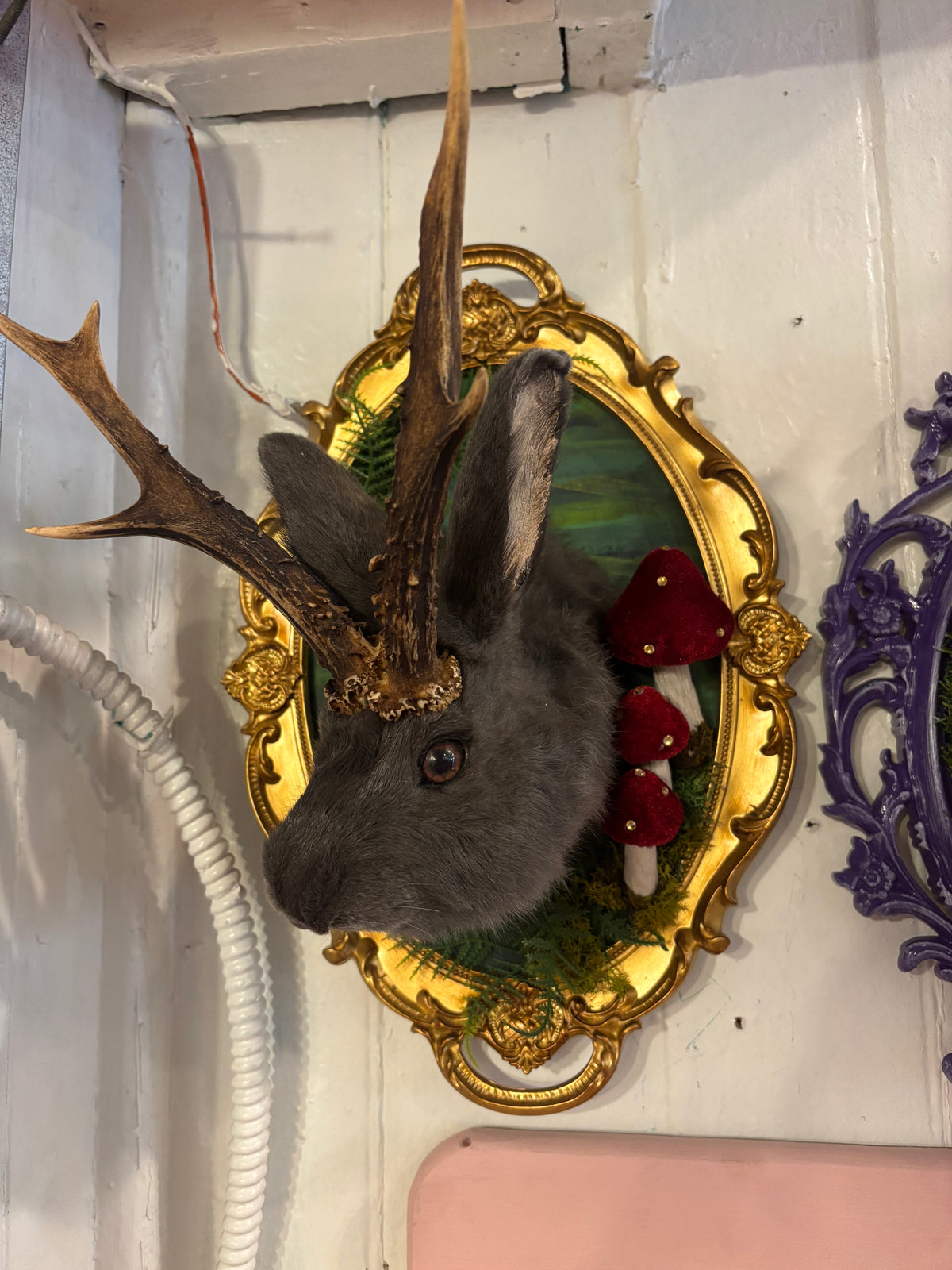 Mushroom Jackalope