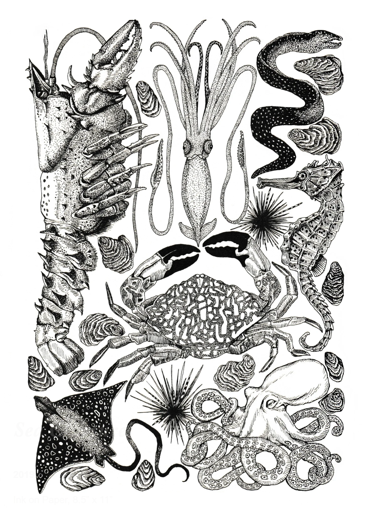 Sea Creature Print