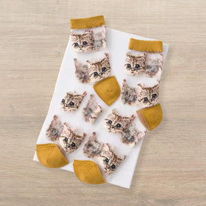 Sheer Cat Lover Socks Available in Yellow Green Red or Black [Fits Women's Size 5-9]