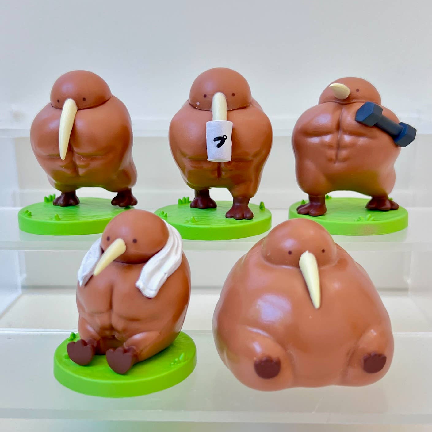 73094 Muscular Kiwi Blind Box-10