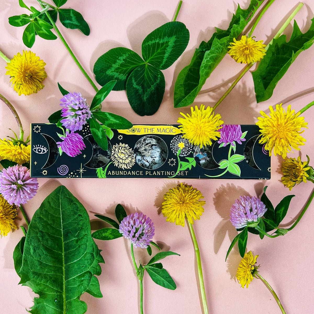 Moon Phase Abundance Seed Ball Planting Set