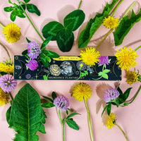 Moon Phase Abundance Seed Ball Planting Set