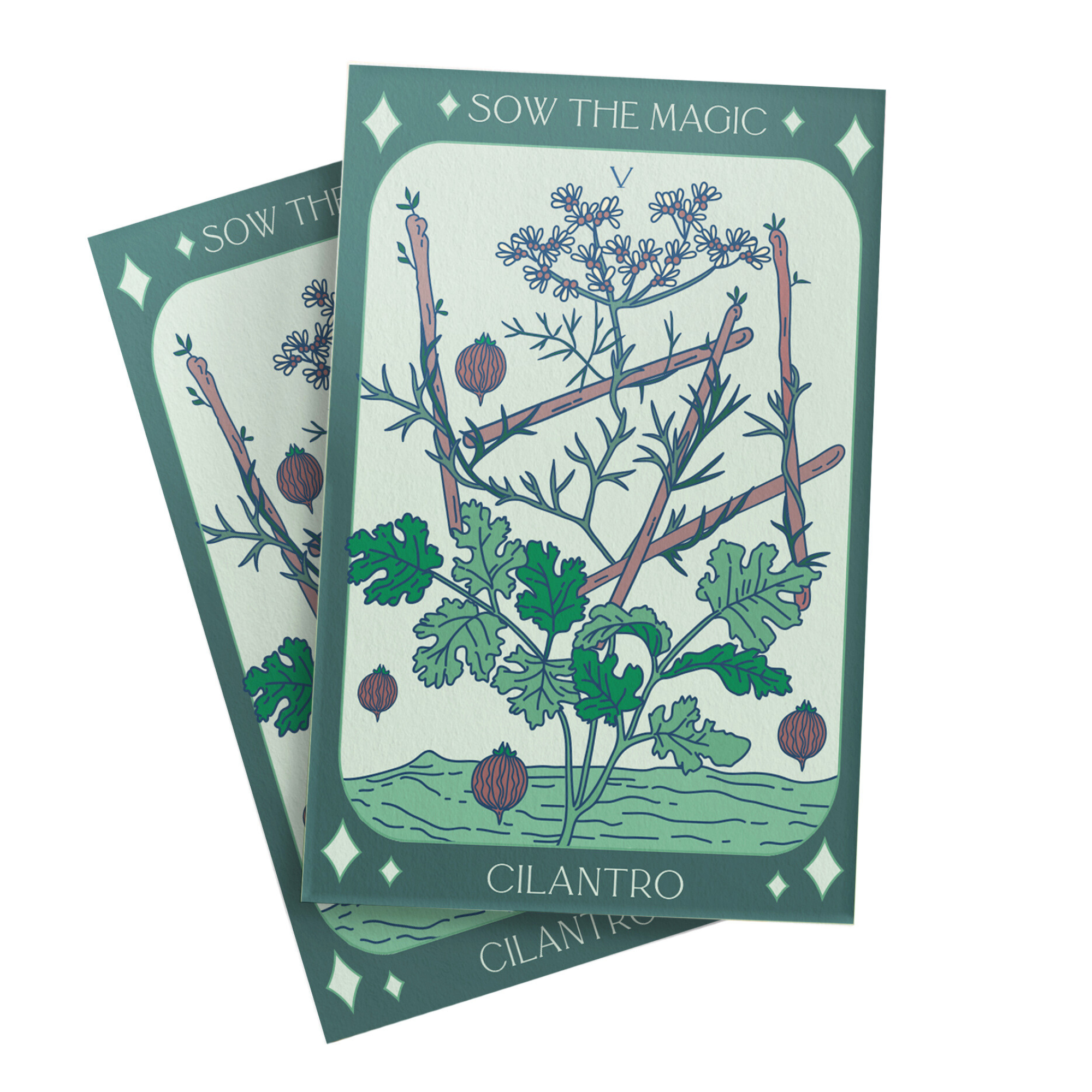 Cilantro Coriander Tarot Garden + Gift Seed Packet