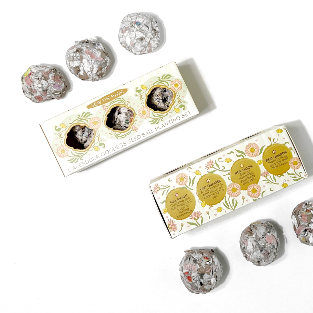 Calendula Goddess Mini Seed Ball Gift Box Set