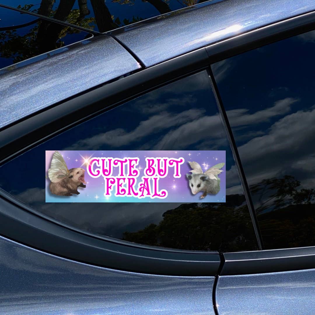 Cute but Feral - Possum Fairies