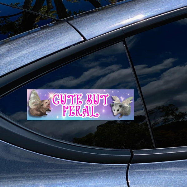 Cute but Feral - Possum Fairies