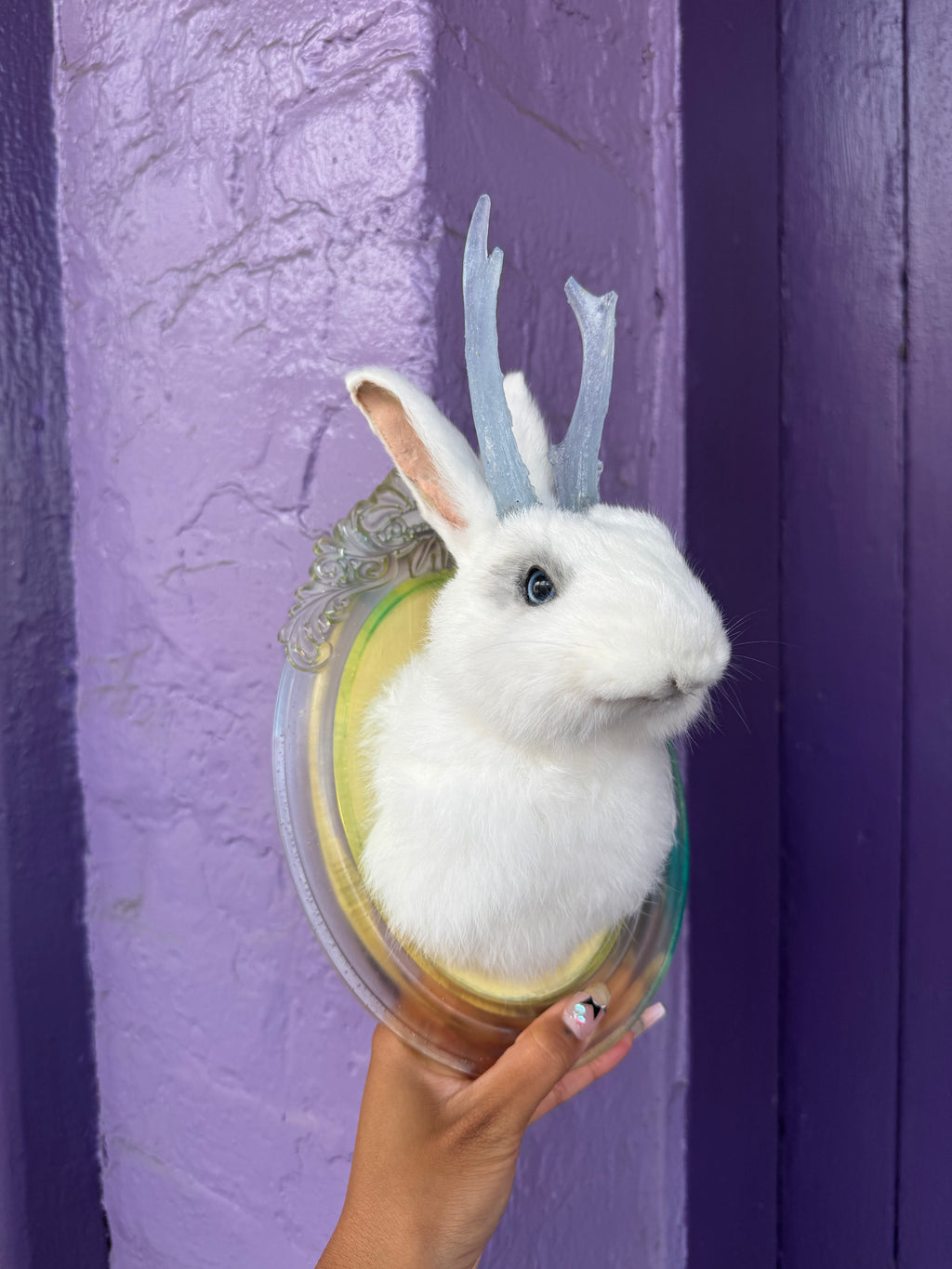 Small opaque white jackalope taxidermy