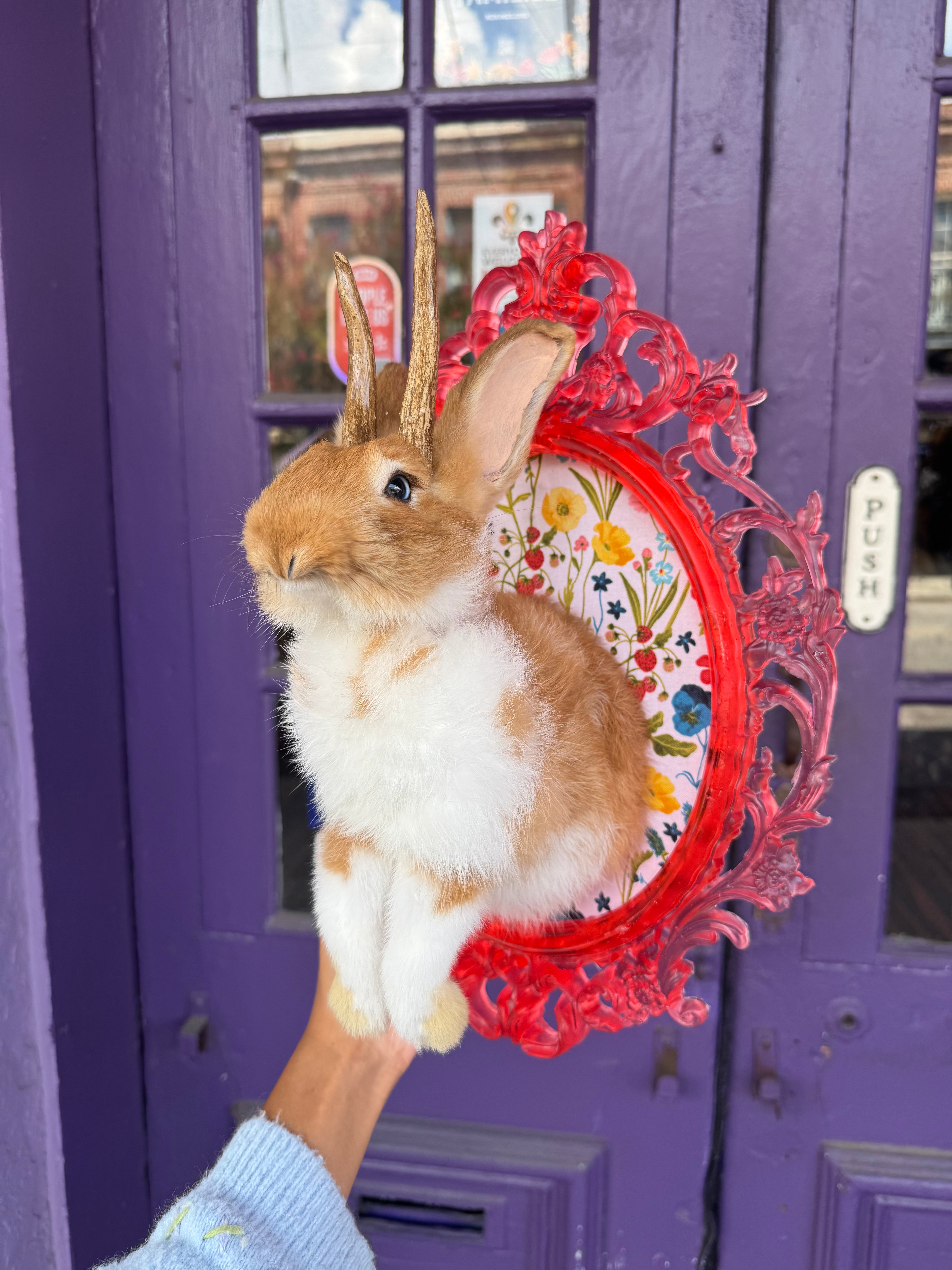 Pink jackalope with feet