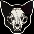 Cat Skull 2.0