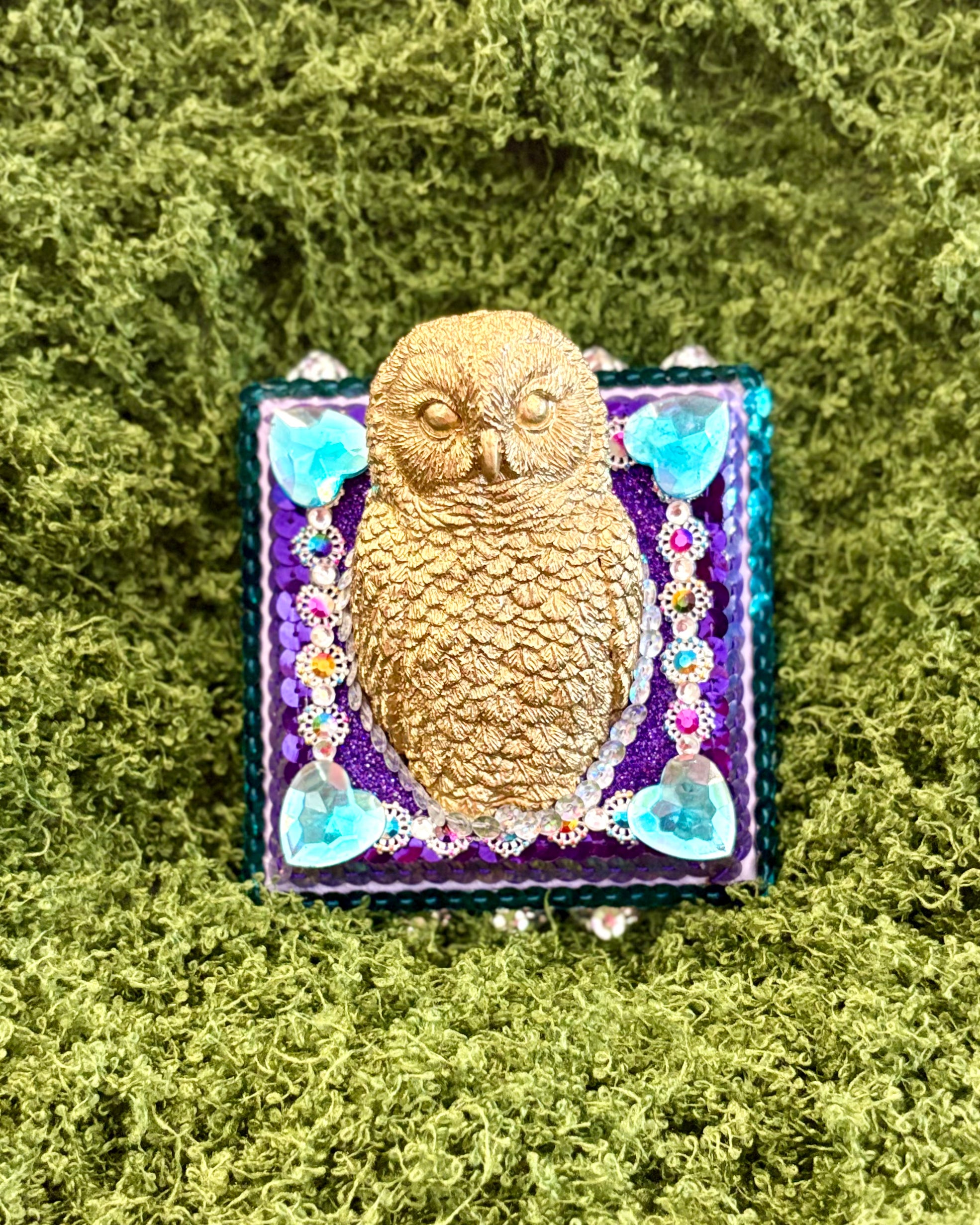 Owl by Cassie Tarr