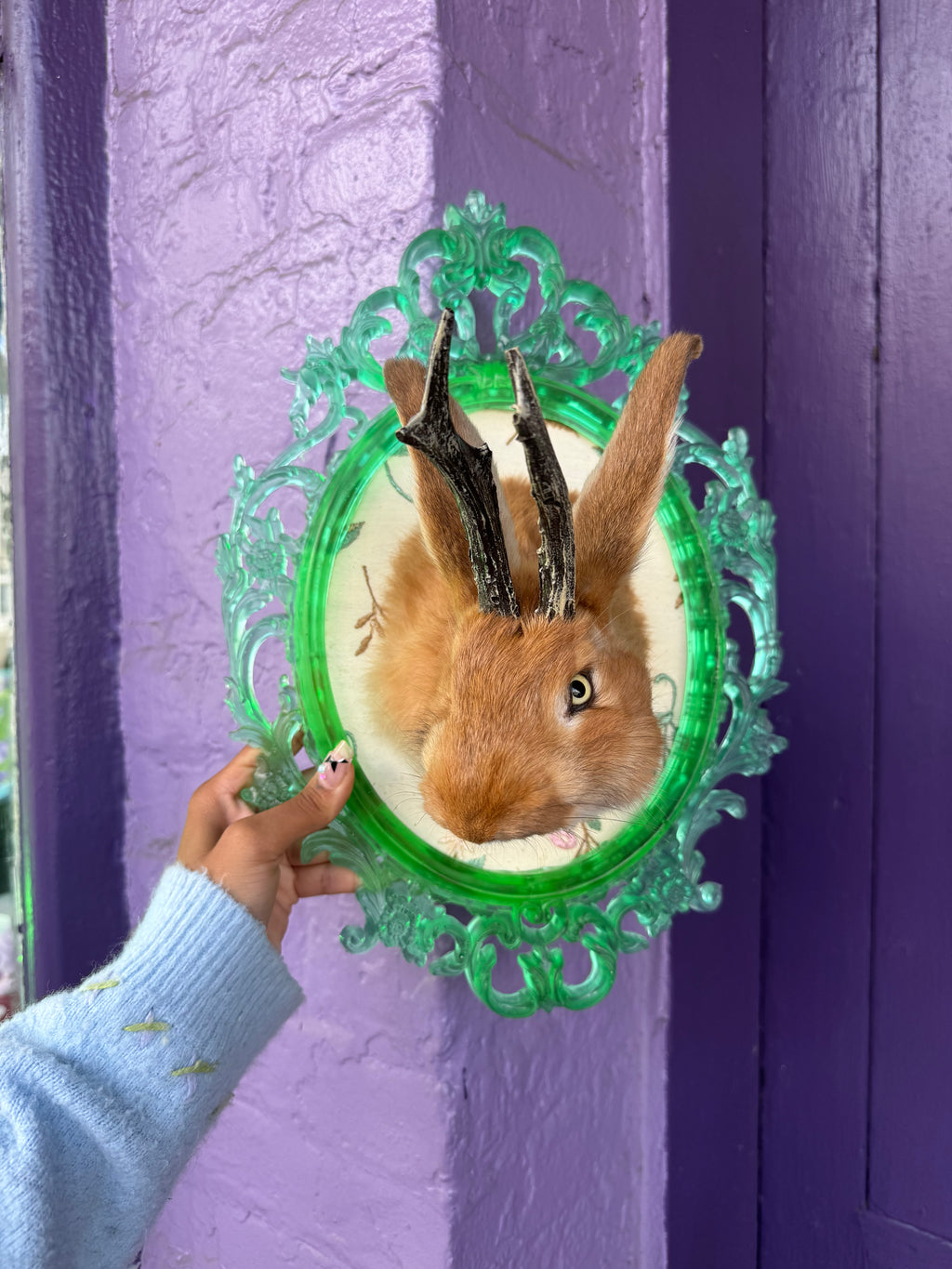 Green framed jackalope taxidermy